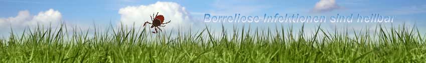 Borreliose ist heilbar